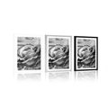 POSTER WITH MOUNT ELEGANT VINTAGE ROSE IN BLACK AND WHITE - BLACK AND WHITE - POSTERS