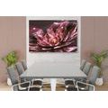 CANVAS PRINT FLORAL ILLUSION - ABSTRACT PICTURES{% if product.category.pathNames[0] != product.category.name %} - PICTURES{% endif %}