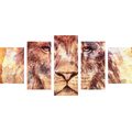 5-PIECE CANVAS PRINT LION FACE - PICTURES OF ANIMALS{% if product.category.pathNames[0] != product.category.name %} - PICTURES{% endif %}