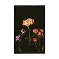 POSTER ELEGANT FLOWERS ON A DARK BACKGROUND - FLOWERS - POSTERS