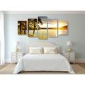 5-PIECE CANVAS PRINT SUNSET OVER THE LAKE - PICTURES OF NATURE AND LANDSCAPE - PICTURES