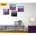 CANVAS PRINT SET ROMANTIC LAVENDER - SET OF PICTURES - PICTURES