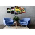 5-PIECE CANVAS PRINT EXPLOSION OF COLORS - ABSTRACT PICTURES - PICTURES