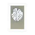 POSTER MIT PASSEPARTOUT WEISSES MONSTERA-BLATT - MOTIVE AUS UNSERER WERKSTATT - POSTER