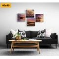 CANVAS PRINT SET NATURE FULL OF ROMANTIC COLORS - SET OF PICTURES - PICTURES