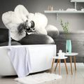 WALL MURAL BLACK AND WHITE ORCHID AND STONES - BLACK AND WHITE WALLPAPERS - WALLPAPERS