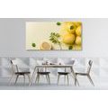 CANVAS PRINT LEMONS WITH MINT - PICTURES OF FOOD AND DRINKS{% if product.category.pathNames[0] != product.category.name %} - PICTURES{% endif %}
