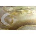 CANVAS PRINT SLEEPING BUDDHA - PICTURES FENG SHUI - PICTURES