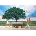 WALL MURAL LONELY OAK - WALLPAPERS NATURE - WALLPAPERS