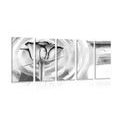 5-PIECE CANVAS PRINT ROSE ON A CANVAS IN BLACK AND WHITE - BLACK AND WHITE PICTURES{% if product.category.pathNames[0] != product.category.name %} - PICTURES{% endif %}