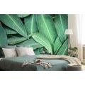 SELF ADHESIVE WALL MURAL EUCALYPTUS LEAVES - SELF-ADHESIVE WALLPAPERS - WALLPAPERS