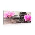CANVAS PRINT ORCHID AND ZEN STONES ON A WOODEN BACKGROUND - PICTURES FENG SHUI{% if product.category.pathNames[0] != product.category.name %} - PICTURES{% endif %}