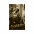POSTER DEER IN A PINE FOREST IN SEPIA - BLACK AND WHITE - POSTERS