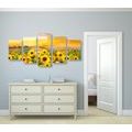 5-PIECE CANVAS PRINT SUNFLOWER FIELD - PICTURES OF NATURE AND LANDSCAPE - PICTURES