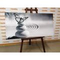 CANVAS PRINT BALANCE OF STONES AND A BUTTERFLY IN BLACK AND WHITE - BLACK AND WHITE PICTURES - PICTURES