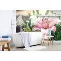 SELF ADHESIVE WALL MURAL PINK LILY IN BLOOM - SELF-ADHESIVE WALLPAPERS - WALLPAPERS