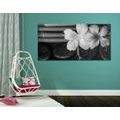 CANVAS PRINT WELLNESS STILL LIFE IN BLACK AND WHITE - BLACK AND WHITE PICTURES - PICTURES