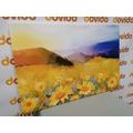 CANVAS PRINT FIELD FULL OF DAISIES - PICTURES OF NATURE AND LANDSCAPE - PICTURES