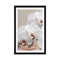 POSTER MIT PASSEPARTOUT WEISSE ORCHIDEE AUF LEINWAND - BLUMEN - POSTER