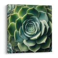 WANDBILD PERFEKTE SPIRALE DER SUKKULENTE - BOTANISCHE BILDER - BILDER