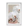 POSTER MIT PASSEPARTOUT WEISSE ORCHIDEE AUF LEINWAND - BLUMEN - POSTER