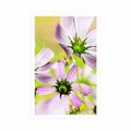 POSTER GARTENBLUMEN - BLUMEN - POSTER