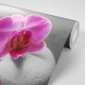 CARTA DA PARATI – FIORI DI ORCHIDEA SU PIETRE - CARTA DA PARATI FENG SHUI - CARTA DA PARATI