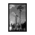 FRAMED POSTER EARLY EVENING IN THE FOREST IN BLACK AND WHITE - BLACK AND WHITE - POSTERS