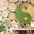 FOTOTAPET YIN ȘI YANG ÎN DESIGN ECO - TAPETURI - 🔥 REDUCERE TOTALÃ 🔥
