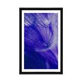 POSTER WITH MOUNT BEAUTIFUL DANDELION IN PURPLE DESIGN - FLOWERS - POSTERS