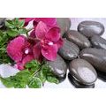 CANVAS PRINT BLOOMING ORCHID AND WELLNESS STONES - PICTURES FENG SHUI - PICTURES