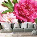 SELF ADHESIVE WALL MURAL PEONIES IN PINK COLOR - SELF-ADHESIVE WALLPAPERS - WALLPAPERS