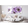 CANVAS PRINT BLOOMING PURPLE GARLIC FLOWERS - PICTURES FLOWERS - PICTURES