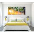 5-PIECE CANVAS PRINT SUNRISE IN THE FOREST - PICTURES OF NATURE AND LANDSCAPE - PICTURES