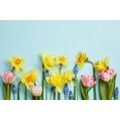 WALL MURAL SPRING FLORAL COMPOSITION - WALLPAPERS FLOWERS - WALLPAPERS