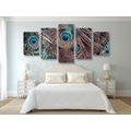 5-PIECE CANVAS PRINT PEACOCK FEATHER - STILL LIFE PICTURES - PICTURES