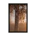 POSTER NEBLIGER HERBSTWALD - NATUR - POSTER