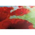 CANVAS PRINT POPPY FLOWERS IN A MEADOW - PICTURES FLOWERS - PICTURES