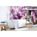 SELF ADHESIVE WALL MURAL PEACEFUL BUDDHA - SELF-ADHESIVE WALLPAPERS - WALLPAPERS