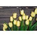 WANDBILD BEZAUBERNDE GELBE TULPEN AUF HÖLZERNEM HINTERGRUND - BILDER BLUMEN - BILDER