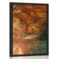 POSTER BEAUTIFUL FOREST IN AUTUMN - NATURE - POSTERS