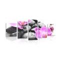 5-PIECE CANVAS PRINT BEAUTIFUL INTERPLAY OF STONES AND ORCHIDS - PICTURES FENG SHUI - PICTURES