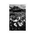 POSTER MEADOW OF BLOOMING FLOWERS IN BLACK AND WHITE - BLACK AND WHITE - POSTERS