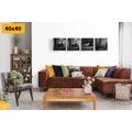 SET TABLOURI ANIMALE DE PĂDURE ÎN DESIGN ALB-NEGRU - COMPOZIȚIE DE TABLOURI - TABLOURI