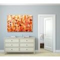 CANVAS PRINT DANDELION IN SHADES OF ORANGE - ABSTRACT PICTURES - PICTURES