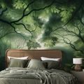 SAMOLEPÍCÍ TAPETA ZELENÝ LESNÍ RÁJ - TAPETY STROMY - TAPETY