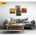 CANVAS PRINT SET ROMANTIC SUNSET ON A MEADOW - SET OF PICTURES - PICTURES