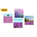 CANVAS PRINT SET ROMANTIC LAVENDER FIELD - SET OF PICTURES - PICTURES