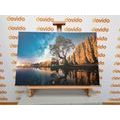 CANVAS PRINT TREE UNDER A STARRY SKY - PICTURES OF NATURE AND LANDSCAPE - PICTURES