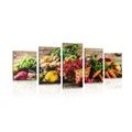 5-PIECE CANVAS PRINT FRESH FRUITS AND VEGETABLES - PICTURES OF FOOD AND DRINKS - PICTURES